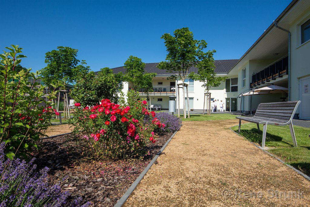 Blumenbeet mit Rosen und Lavendel, umgeben von modernen Gebäuden und Bänken.