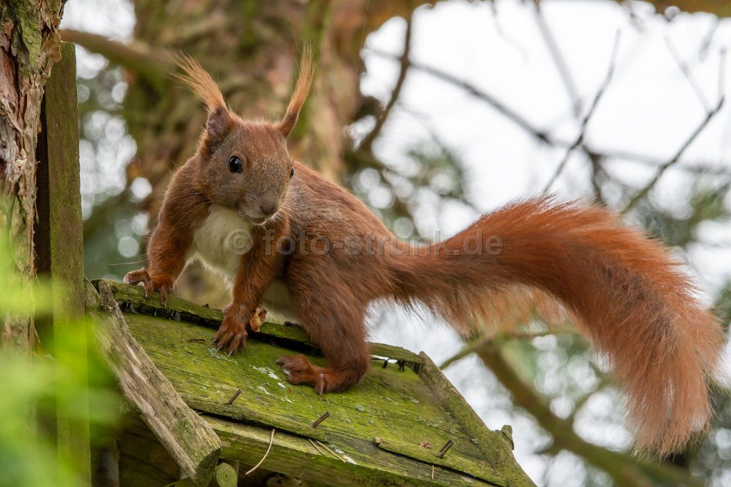 Kyritzer Seenkette umgeben von üppigen Bäumen und einem kleinen Waldgebiet.