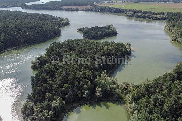 Kyritzer Seenkette umgeben von üppigen Bäumen und einem kleinen Waldgebiet.